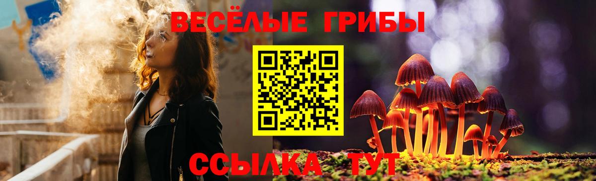 где можно купить наркотик  Вход с VPN  Котлас  Галлюциногенные грибы мухоморы 